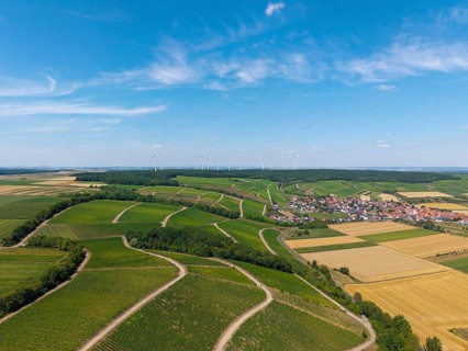 Panorama of vineyards stretching to a village with wind turbines on the horizon, Eisenheim near