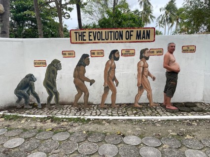 Evolution of anatomically modern man (Homo sapiens), parody, satire, funny, humour, big belly,