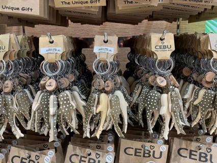 Souvenir, whale shark key ring, Cebu, Philippines