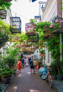 Middelburg, Zeeland, Netherlands - Reigerstraat. The small alleyway in the old town centre, here