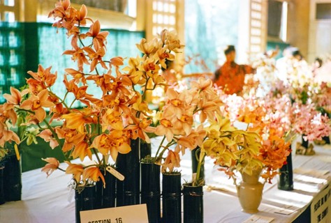 People attending flower show at the Singapore Turf Club, The 4th World Orchid Conference,