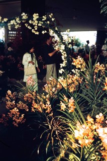 People attending flower show at the Singapore Turf Club, The 4th World Orchid Conference,
