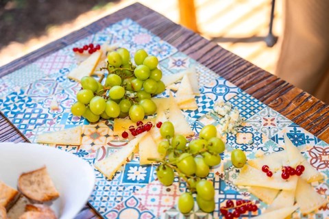 Slices of cheese, bunches of green grapes, and red currants are beautifully arranged on a vibrant