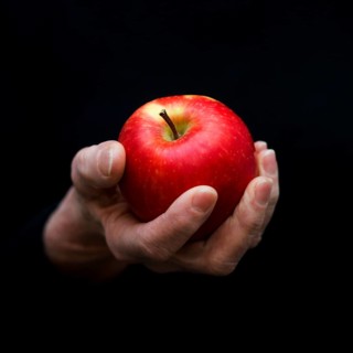 Bright red apple held gently in a hand against a dark background, showcasing a moment of simplicity