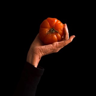 Woman's hand elegantly holding a ripe tomato against a black background