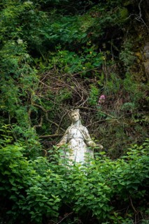 A tranquil statue of Virgin Mary stands amidst dense green foliage, with branches encircling it.