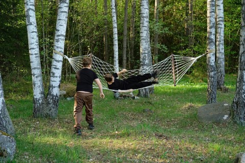 Two children spend a sunny afternoon in a forest, one relaxing in a hammock strung between birch