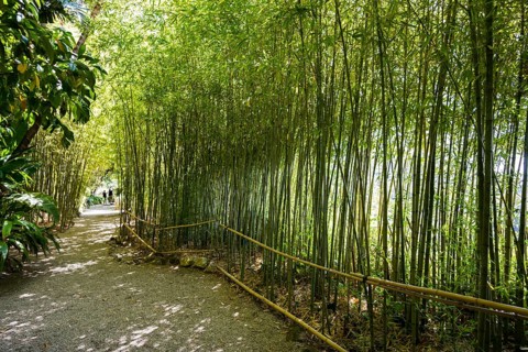 Park, Villa Ephrussi de Rothschild, Saint-Jean-Cap-Ferrat, Cap Ferrat, Alpes Maritimes, Provence
