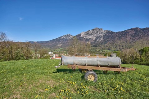 Cattle trough, mountain landscape, mountains, meadow, common dandelion (Taraxacum sect. Ruderalia),