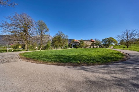 Street, landscape, landscape photography, trees, lawn, footpath, blue sky, cloudless, Gmainer