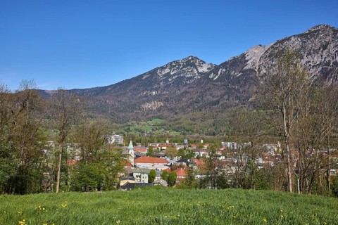 Landscape, landscape photography, mountain landscape, mountains, meadow, trees, coniferous forest,