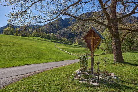 Crossroads, hill, mountain landscape, hilly, coniferous forest, trees, meadow, fence, backlight,