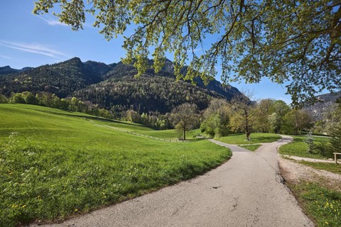 Landscape photography, landscape, mountain landscape, mountains, forest, cultural landscape,