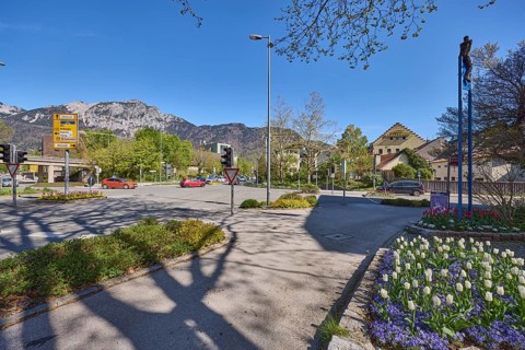 Streets, traffic lights, lantern, trees, flower bed, tulips (Tulipa), general architecture,