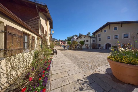 Historic buildings, houses, facade, window, window shutter, flower bed, square, paving stones,