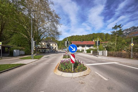Traffic island, traffic lights, pedestrian crossing, lantern, multi-family houses, trees, flower