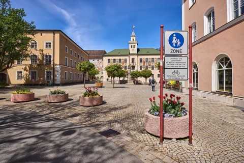 Pedestrian zone, traffic sign, square, historic town hall, trees, general architecture, flower