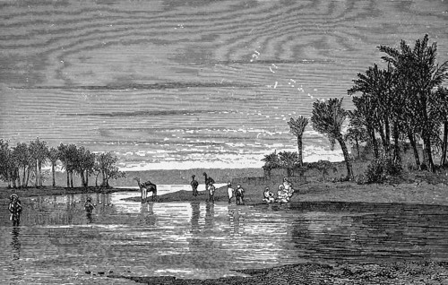 Landscape near Saint Louis in the border region of Senegal and Gambia, Senegal River, palm trees,