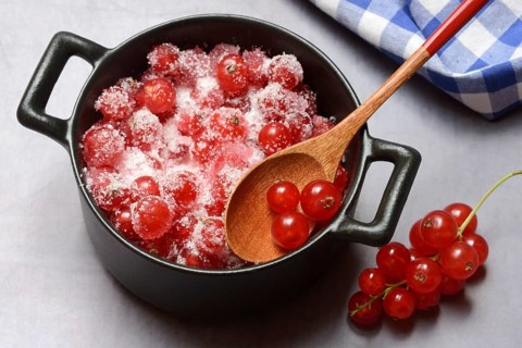 Redcurrants with sugar in pots, Ribes rubrum