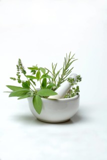 Herbs in grating bowl, kitchen herbs