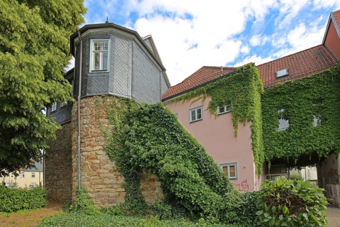 Rest of the historic town wall, ivy, plant growth, slate wall, Untere Allee, Hildburghausen,