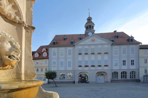 Baroque town hall built in 1711 and market fountain with lion figure, gargoyle, water jet, detail,