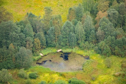 Swamp in a vally from Mount Hohneck in the Vosges Mountains, France