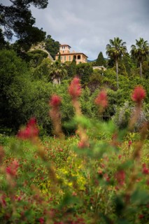 Botanical Garden, Giardino Hanbury, La Mortola, near Ventimiglia, Riviera dei Fiori, Liguria, Italy