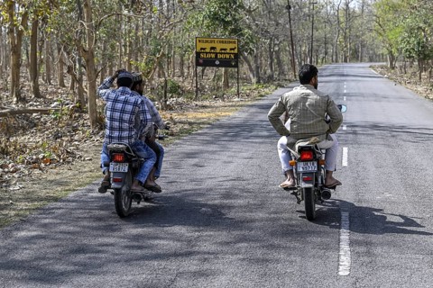 Motorcyclist in front of a Wildlife Corridor sign, Corbett National Park, near Ramnagar,