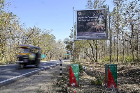 Shield Wildlife Crossing, Corbett National Park, near Ramnagar, Uttarakhand State, India