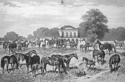 The English thoroughbred stud of Count Tassilo Festetics de Tolna near Keszthely on Lake Balaton,