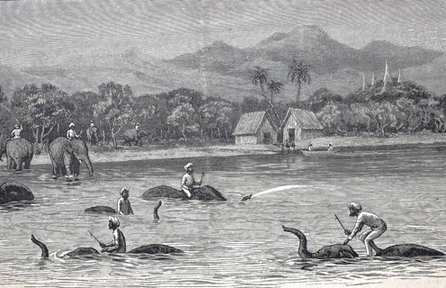 Bathing and swimming elephants in Burma in 1870, Historical, digitally restored reproduction from a