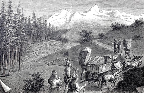 Alpine farmers on their way to the mountain pasture with cow team and tools, Alps, Tyrol, around