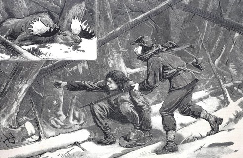 Moose hunt in Nova Scotia, Hunter with rifle and shot moose, 1880, Canada, Historical, digitally
