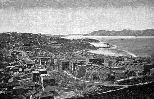 San Franciso, rows of houses, blocks of flats, green areas, hills, parallel streets, ships, Pacific