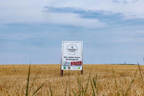Barley field near Zwiefalten in the Swabian Alb. Growing area for the malting barley of the