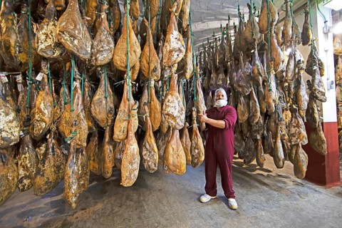 Iberico ham warehouse, Iberico ham factory in Villares de la Reina, province of Salamanca, Castile
