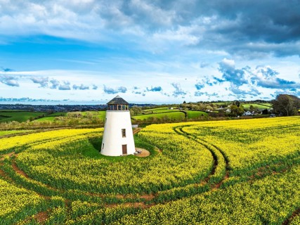 Rapeseed fields and Farms over Devon Windmill from a drone, Torquay, Devon, England, United Kingdom
