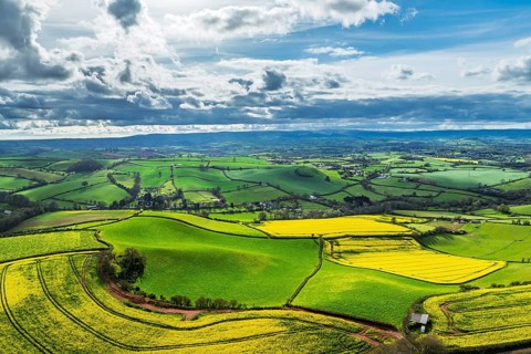 Rapeseed Fields and Farms over Torquay from a drone, Devon, England, United Kingdom