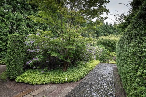 Japanese Garden, Gardens of the World, Berlin, Germany