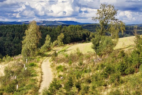 Narrow path through wooded hilly landscape under a partly cloudy sky, Kreuztal, Siegen