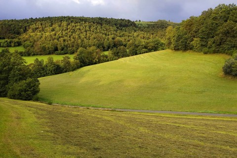 Gently rolling hills with green meadows and neighbouring forest, Siegen