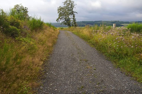 A lonely gravel path through meadows on a cloudy day, Siegen