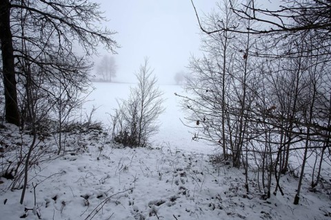 Winter landscape with snow-covered bushes and bare trees, Siegen