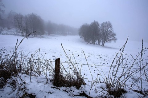 Snowy meadow with trees and misty horizon, Siegen