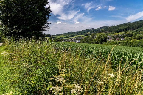Landscape along the Sauerlandring cycle path, an 84 km long circular cycle path between the towns