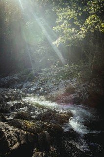 Gorge, Wildbad Kreuth, Kreuth, Upper Bavaria, Bavaria, Germany