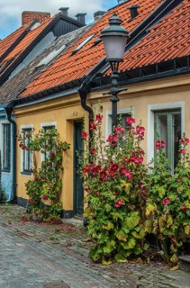 Cobblestone street with small colored house and street lamp and hollyhocks flowers in Ystad, Skåne