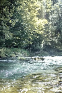 Mangfall near Bruckmühl, district of Miesbach, Upper Bavaria, Bavaria, Germany