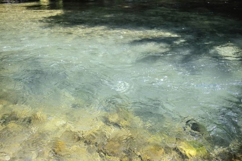 Mangfall near Bruckmühl, district of Miesbach, Upper Bavaria, Bavaria, Germany